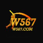 W567 Game Logo