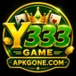 Y333 Game