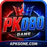 Pk080 Game