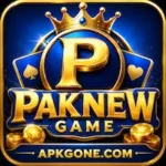 PakNew Game