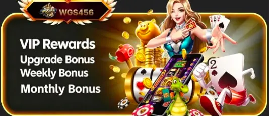 WGS456 Game