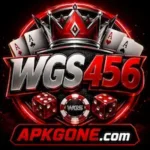 WGS456 Game