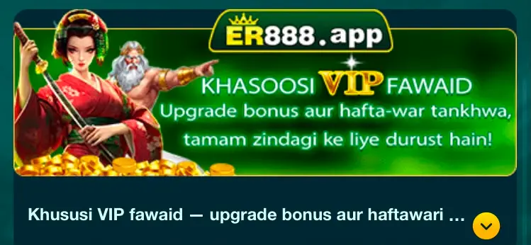 ER888 Game
