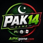 PAK14 Game