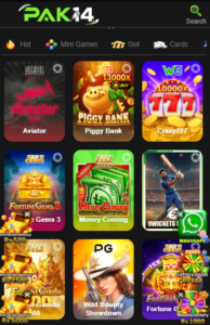 PAK14Game